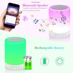 Wireless Night Light LED Touch Lamp with Bluetooth